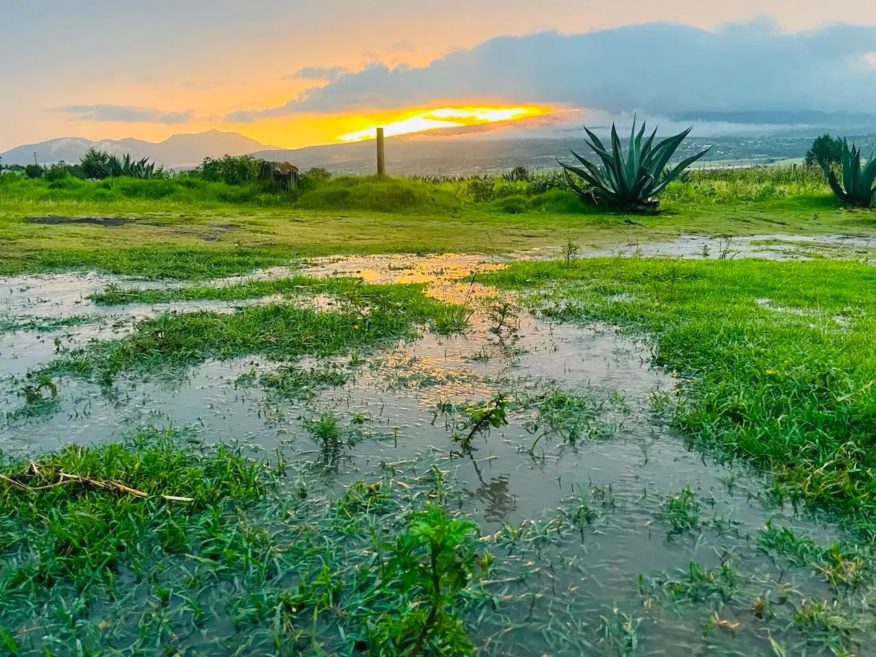 San Jerónimo
