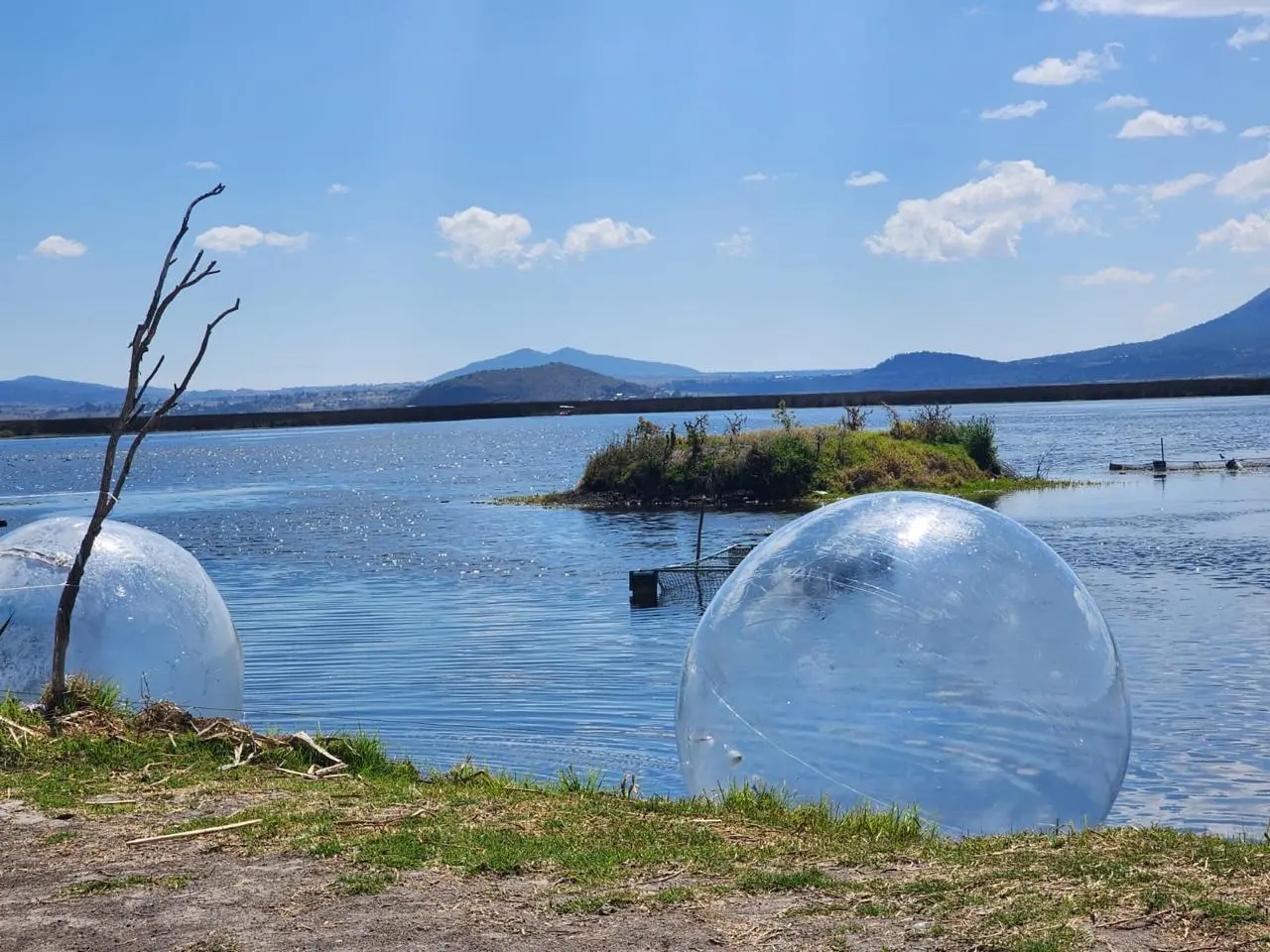 Burbujas de agua, actividad en la laguna