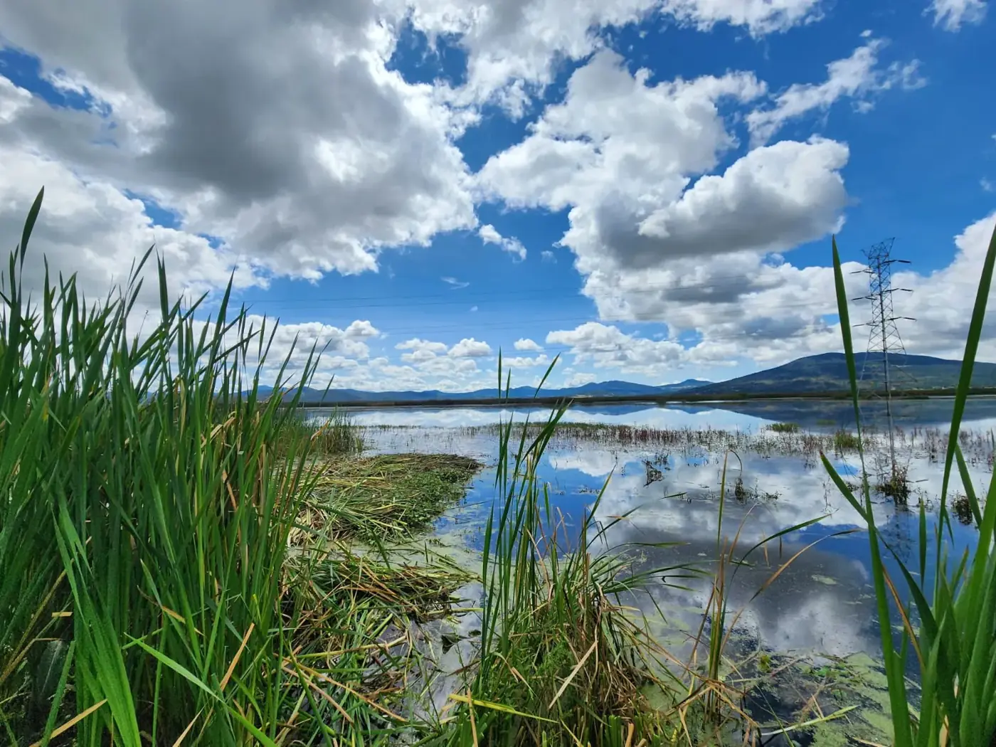 Malecón de Laguna de Tecocomulco
