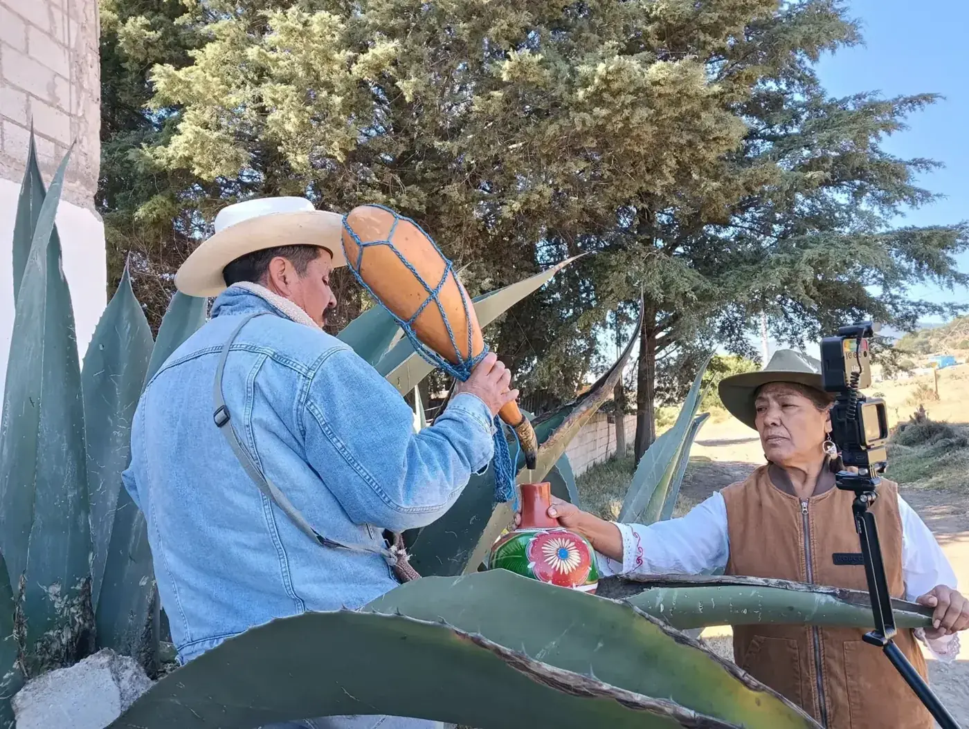 Aguamiel, pulque y curados